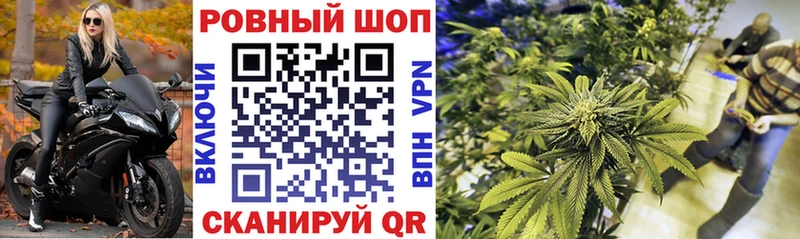 Купить закладку Псилоцибиновые грибы  Alpha-PVP  Cocaine  Гашиш  МЕФ  Каннабис  Смоленск